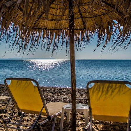 Philoxenia Beach Nea Vrasna Ngoại thất bức ảnh